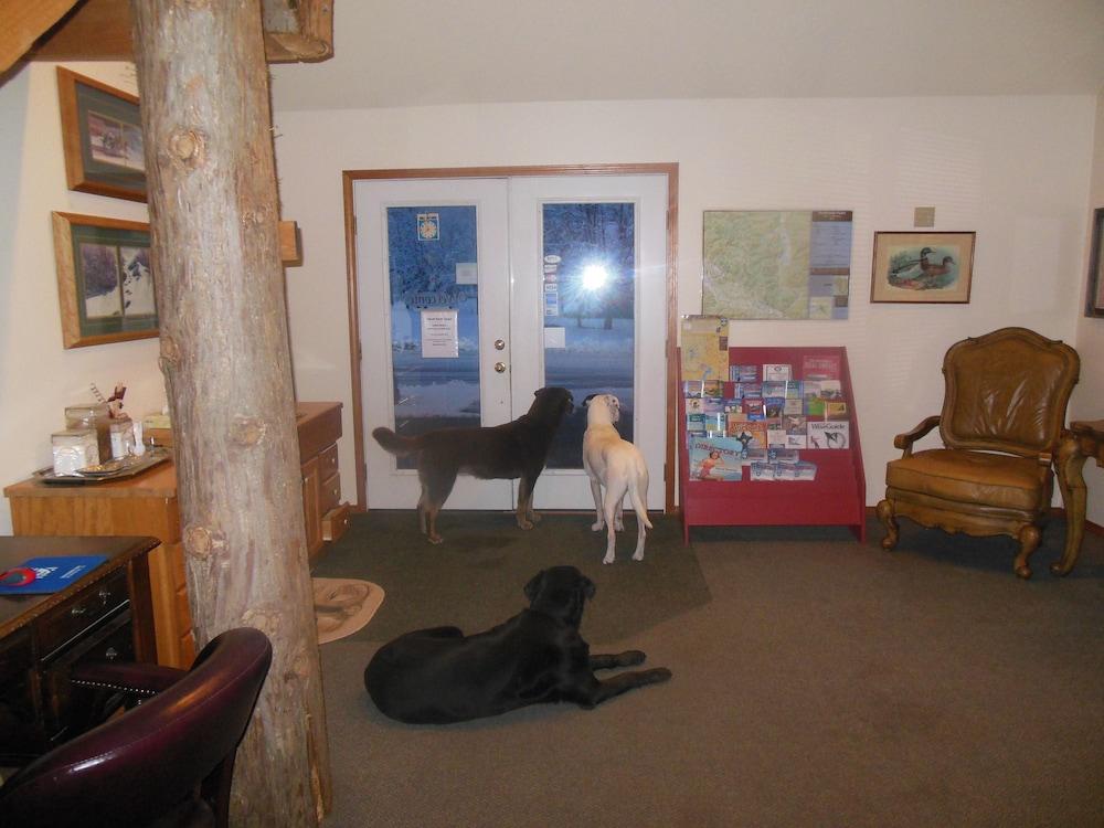 Clark Fork Lodge Eksteriør bilde